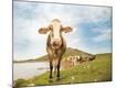 Premium Giclee Print