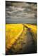 Premium Giclee Print
