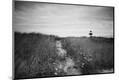 Photographic Print