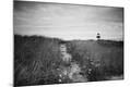 Photographic Print