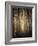 Alee Cathedral-Dawne Polis-Framed Art Print