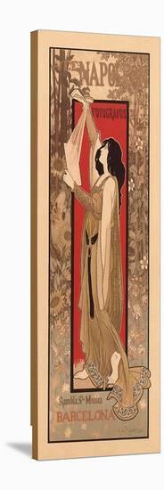 Stretched Canvas Print, , large