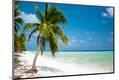 Premium Photographic Print