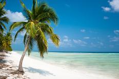 Sunrise Beautiful Tropical Beach at the Caribbean Island with White Sands and Stunning Turquoise Wa-Aleksandar Todorovic-Photographic Print