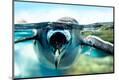 Premium Photographic Print
