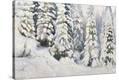 Stretched Canvas Print