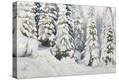 Stretched Canvas Print