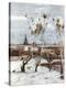 Stretched Canvas Print