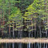 Landscape of Saimaa Lake from Above, Finland-Aleksey Stemmer-Framed Photographic Print