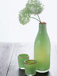 Green Bottle with Flowers and Green Glasses-Alena Hrbkova-Photographic Print