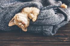 Cute Little Ginger Kitten Wearing Warm Knitted Sweater is Sleeping on the White Carpet-Alena Ozerova-Photographic Print