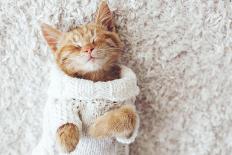 Cute Little Ginger Kitten is Sleeping in Soft Blanket on Wooden Floor-Alena Ozerova-Photographic Print