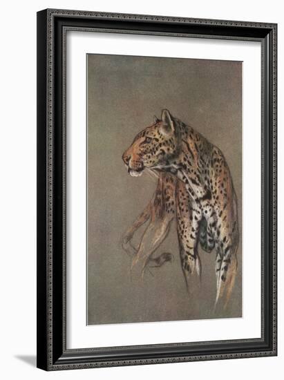Alert Leopard-null-Framed Art Print