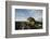 Alert Marine Iguana atop a Rock-DLILLC-Framed Photographic Print