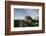 Alert Marine Iguana atop a Rock-DLILLC-Framed Photographic Print