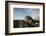 Alert Marine Iguana atop a Rock-DLILLC-Framed Photographic Print