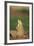 Alert Prairie Dog-DLILLC-Framed Photographic Print