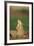 Alert Prairie Dog-DLILLC-Framed Photographic Print