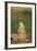 Alert Prairie Dog-DLILLC-Framed Photographic Print