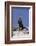 Alert River Otter-DLILLC-Framed Photographic Print