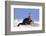 Alert River Otter-DLILLC-Framed Photographic Print