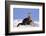 Alert River Otter-DLILLC-Framed Photographic Print