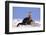 Alert River Otter-DLILLC-Framed Photographic Print