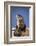 Alert River Otter-DLILLC-Framed Photographic Print