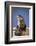 Alert River Otter-DLILLC-Framed Photographic Print