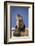 Alert River Otter-DLILLC-Framed Photographic Print