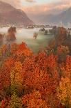 Duck Family at Lake Bled-Ales Krivec-Photographic Print