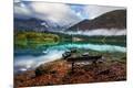 Giclee Print
