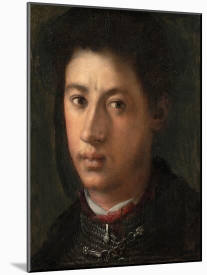 Alessandro De' Medici, 1534-35-Jacopo Pontormo-Mounted Giclee Print