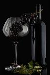 I Love Wine ! V-Alessandro Fabiano-Laminated Photographic Print