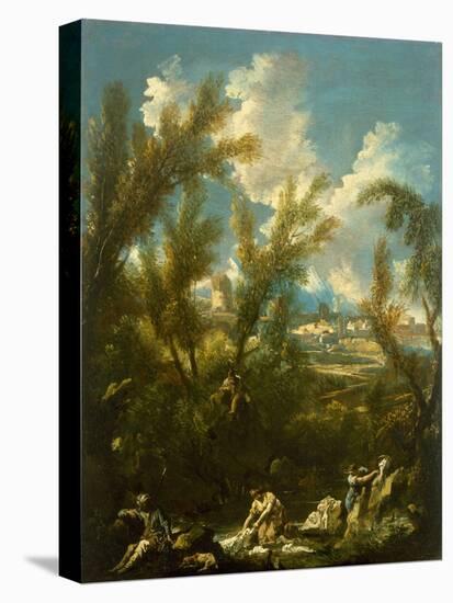 Stretched Canvas Print, , large