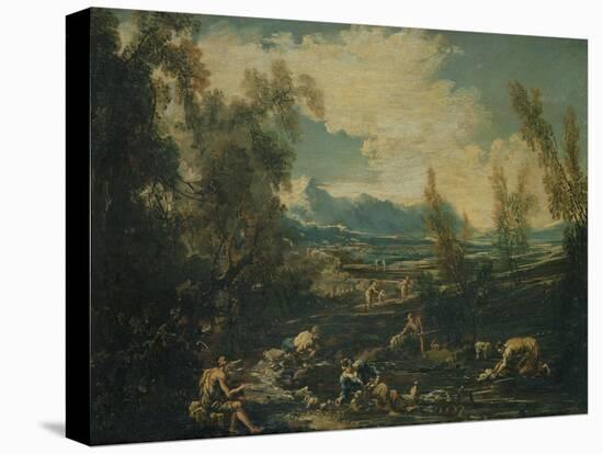Stretched Canvas Print, , large
