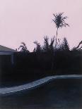Susan's and Roy's Pool-Alessandro Raho-Framed Premier Image Canvas