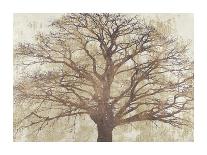 Tree of Gold-Alessio Aprile-Stretched Canvas