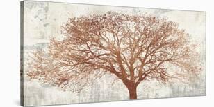 Aquamarine Tree-Alessio Aprile-Stretched Canvas