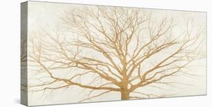 Tree of Gold-Alessio Aprile-Stretched Canvas