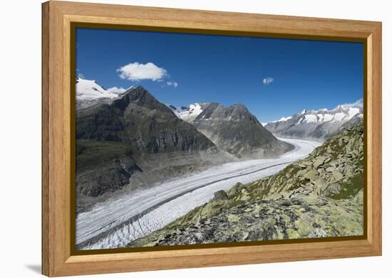 Aletsch Glacier, Eggishorn, Fiesch, Switzerland, Valais-Frank Fleischmann-Framed Premier Image Canvas