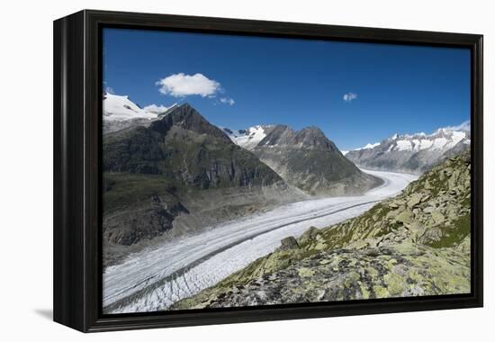 Aletsch Glacier, Eggishorn, Fiesch, Switzerland, Valais-Frank Fleischmann-Framed Premier Image Canvas
