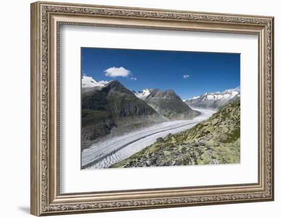 Aletsch Glacier, Eggishorn, Fiesch, Switzerland, Valais-Frank Fleischmann-Framed Photographic Print