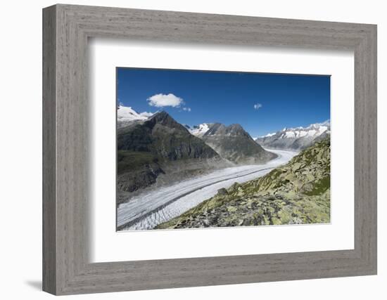 Aletsch Glacier, Eggishorn, Fiesch, Switzerland, Valais-Frank Fleischmann-Framed Photographic Print