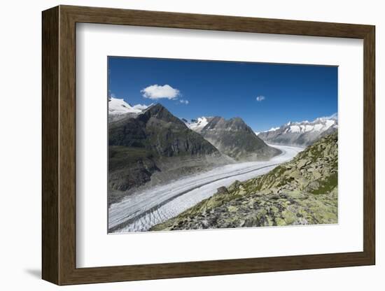 Aletsch Glacier, Eggishorn, Fiesch, Switzerland, Valais-Frank Fleischmann-Framed Photographic Print
