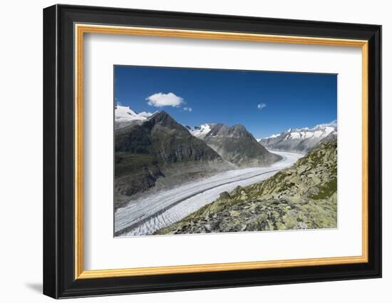 Aletsch Glacier, Eggishorn, Fiesch, Switzerland, Valais-Frank Fleischmann-Framed Photographic Print