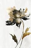 Rustic White Flowers-Alex Black-Art Print