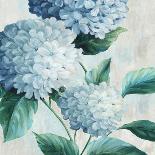 Blue Bouquet Serenade-Alex Black-Art Print