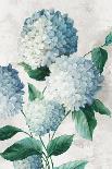 Blue Hydrangea Florals-Alex Black-Art Print