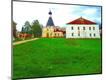 Photographic Print